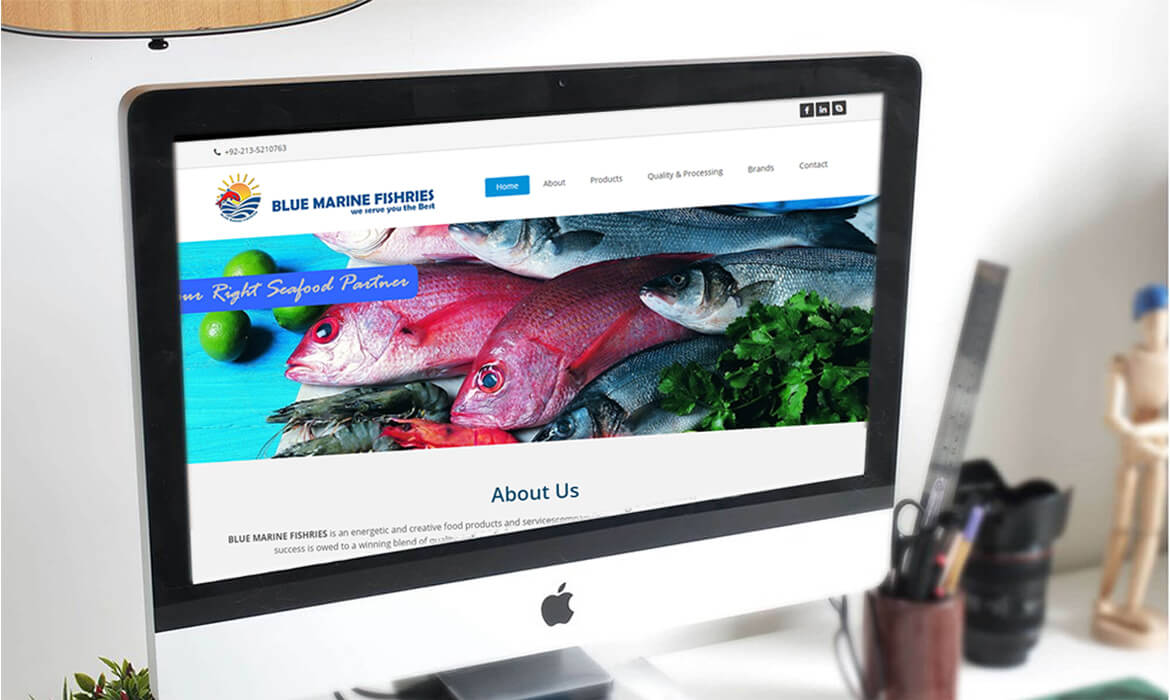 Blue Marine Fishries - TheDesignerz web design service portfolio